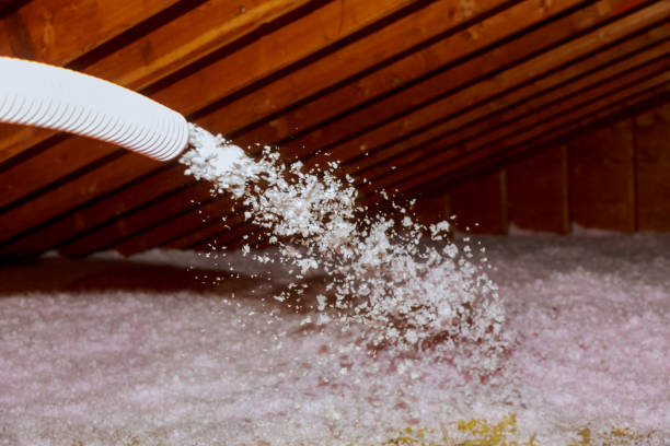 Best Insulation Maintenance and Repair in Belwood, NC